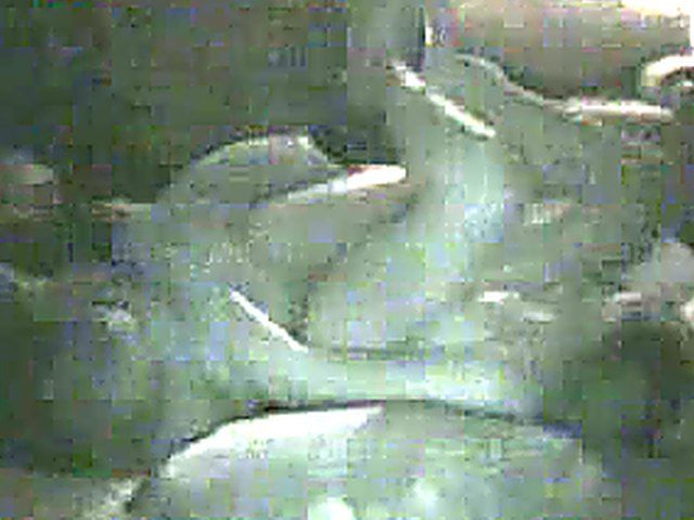 Sexy wife gets fucked by a black cock