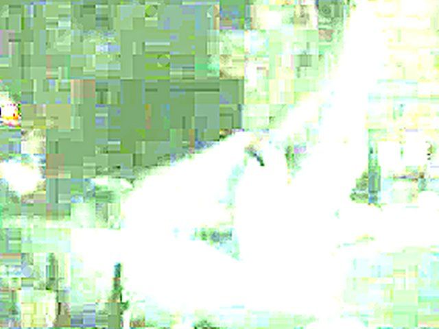 Sexy wife gets fucked by a black cock