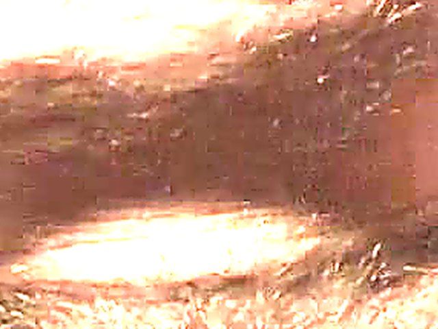 Beautiful babe uses different toys in her pussy