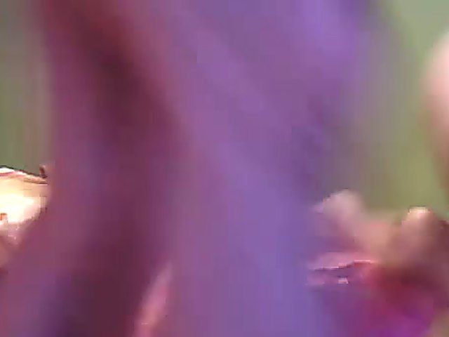 Beautiful brunette gets fucked over the bed,