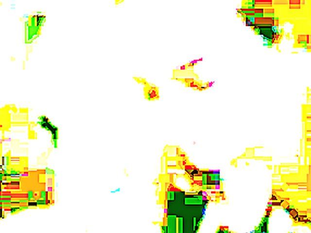 Sweet chick sucks cock and tastes fresh cum