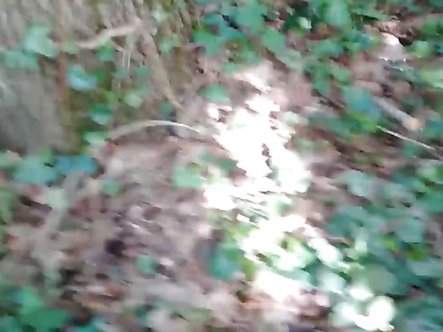 A babe gets fucked outside in the woods