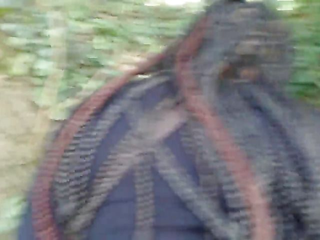 A babe gets fucked outside in the woods