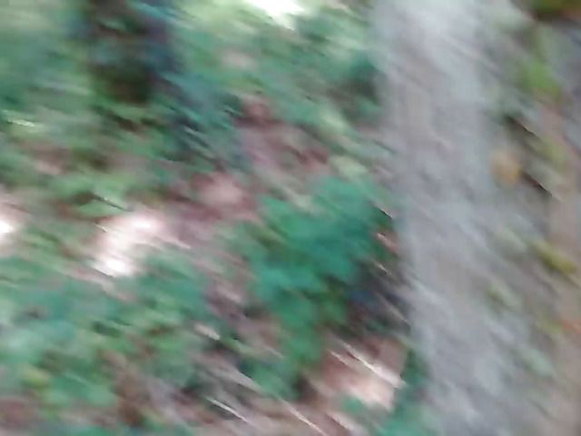 A babe gets fucked outside in the woods