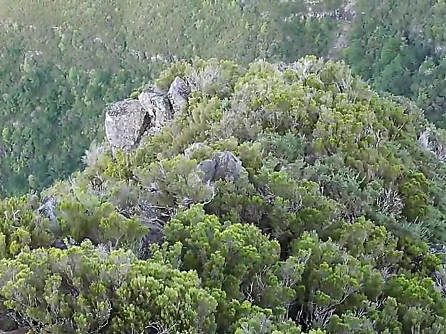 Nude sexy chick in the mountains