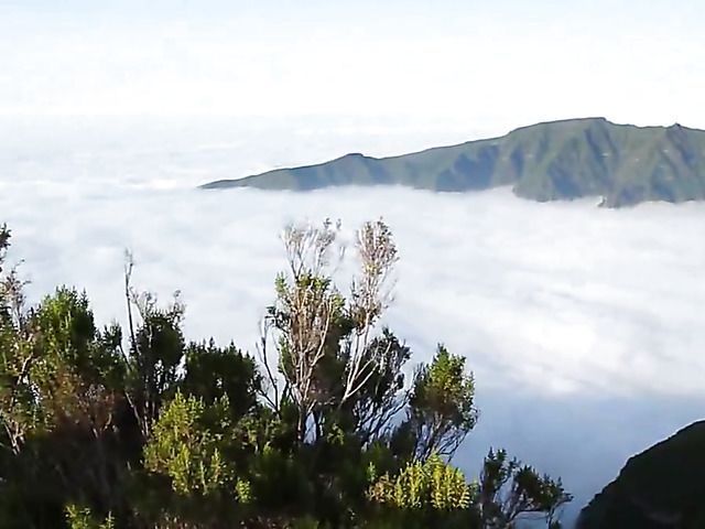 Nude sexy chick in the mountains