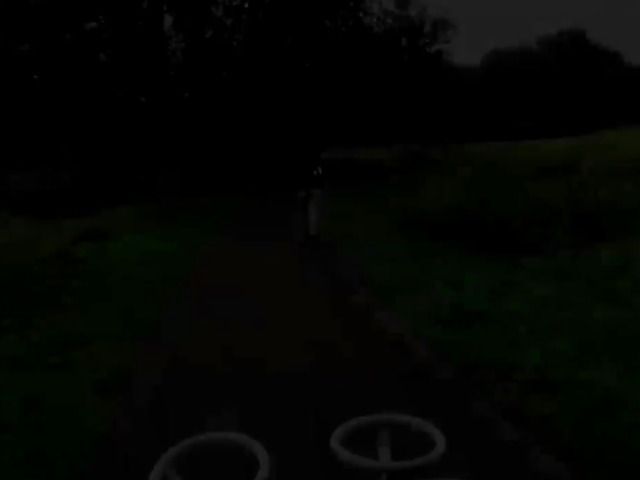 Raven haired amateur fucked and facialized