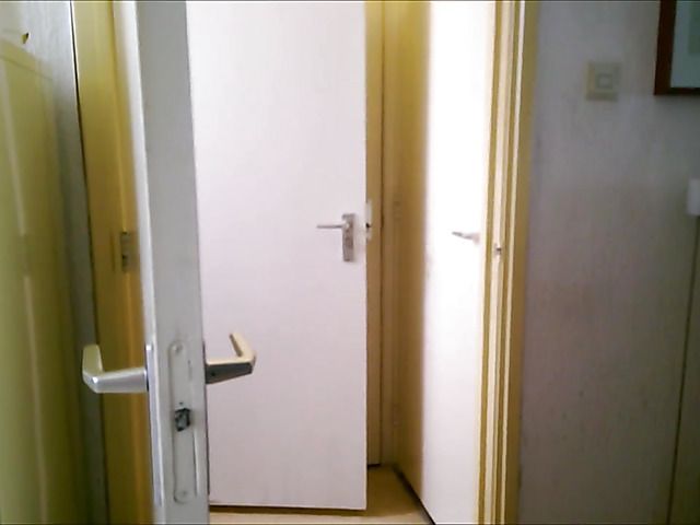 Chubby woman dlldos her hairy twat