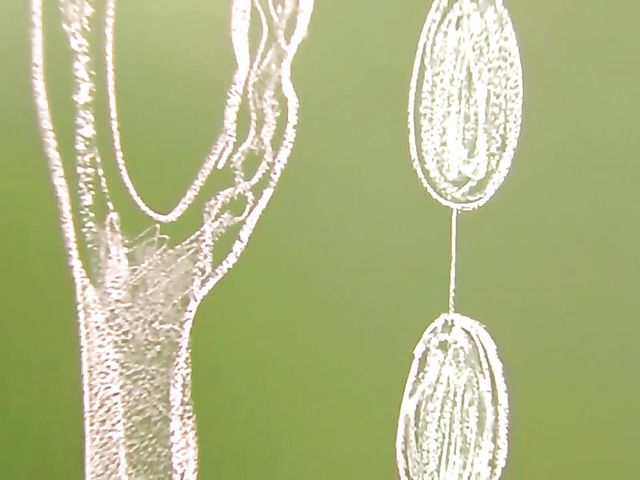 Young girl gets her teen ass heavily fucked