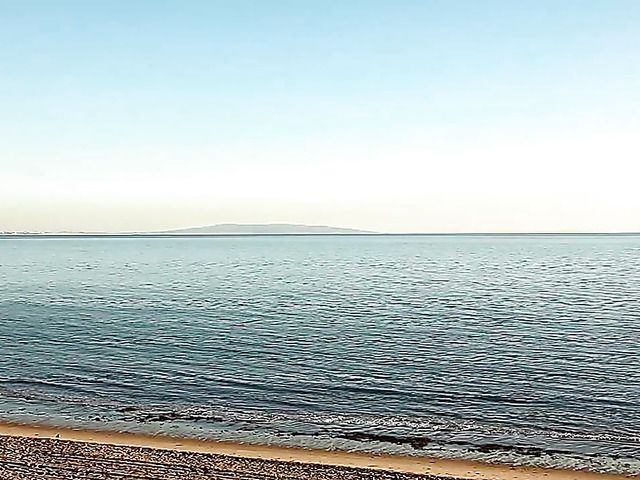 Ebony ladies have lesbian sex