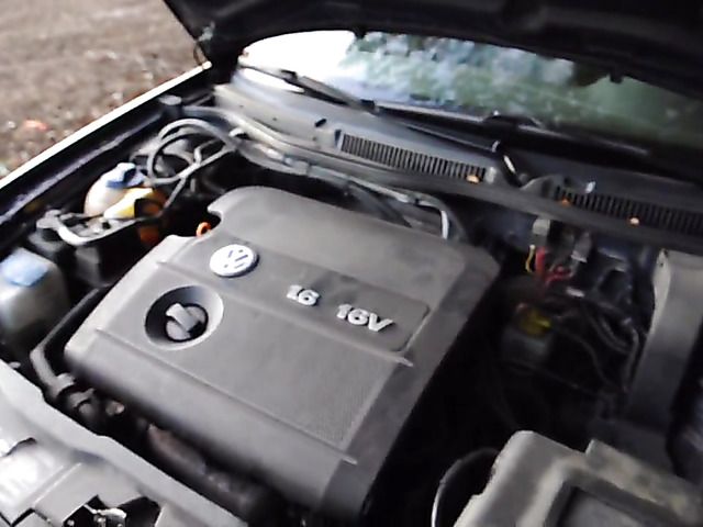 Busty German chick gets nailed