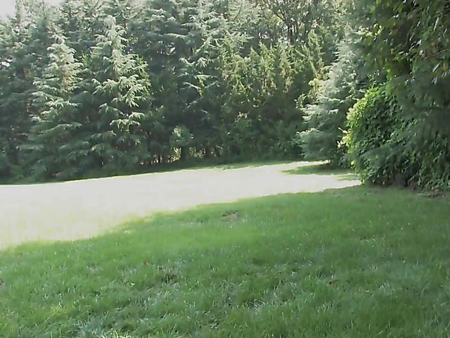 Jap teen takes it in her neatly shaved pussy