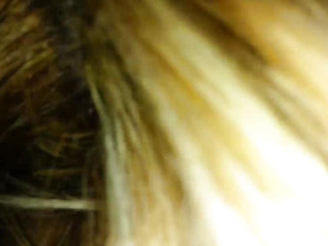 Hot wife sucking balls on camera