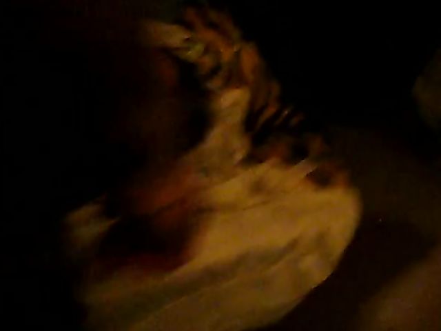 Amateur doggystyle bang for your viewing pleasure