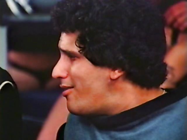 Hairy retro chicks love anal!