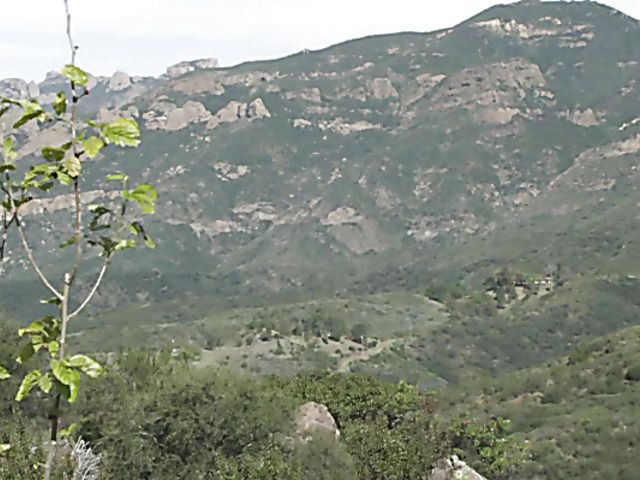 Asa Akiras asian pussy stuffed