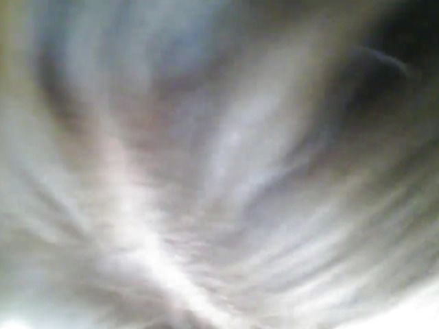 Another your bbc sucker