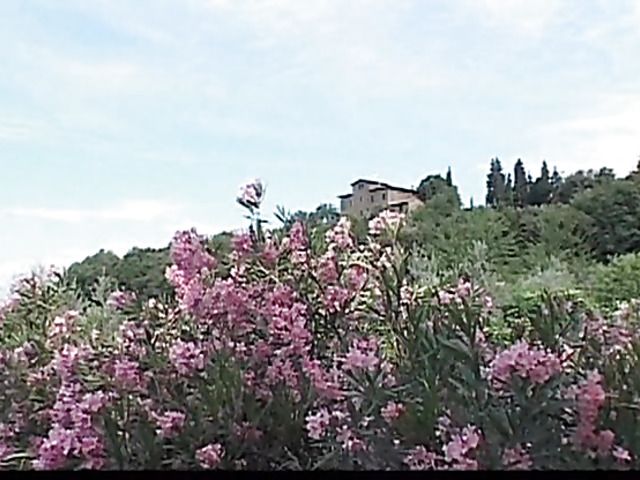 Classic Italian porn movie by Andy Casanova