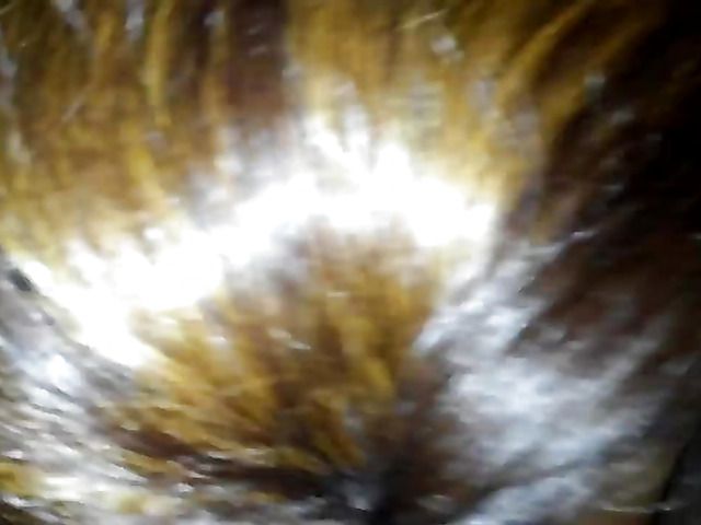 Chunky ebony amateur gives mouth job