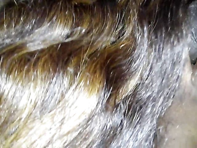 Chunky ebony amateur gives mouth job