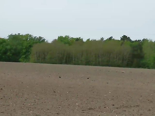 Horny couple and an older man fuck outdoors