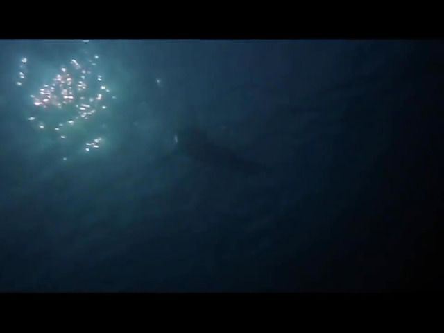 Ladies strip in Naked News sexy compilation