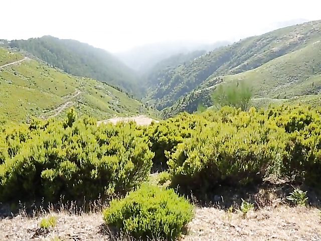 Beautiful leggy brunette strips nude in the mountains