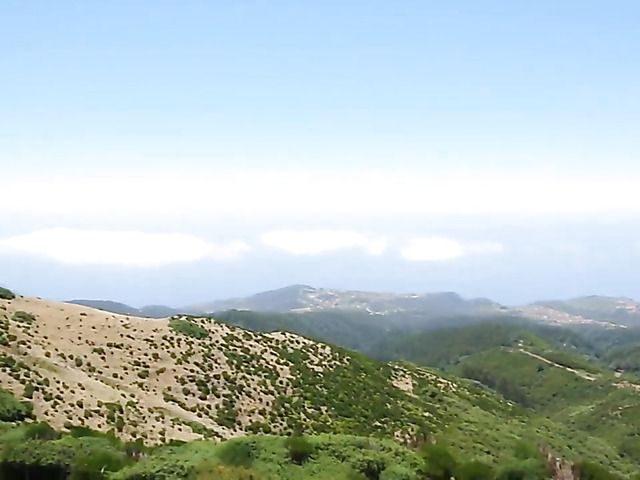 Beautiful leggy brunette strips nude in the mountains