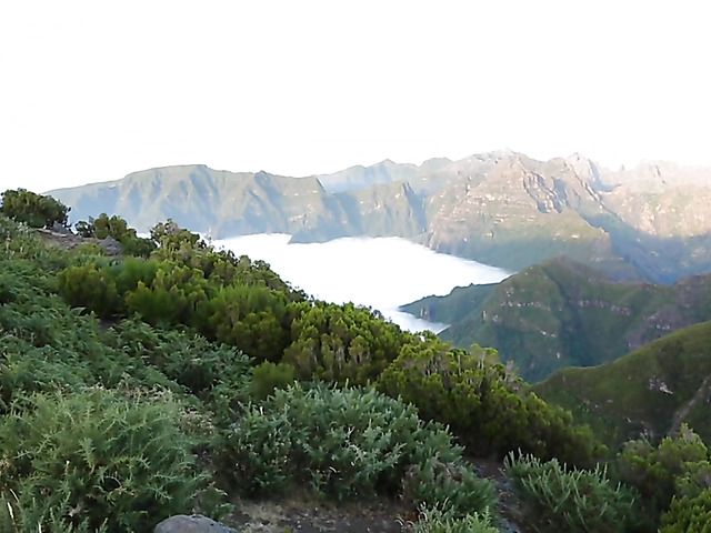 Beautiful leggy brunette strips nude in the mountains