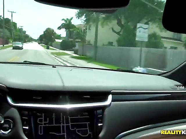 Hitchhiker sucks and gets nailed in a car