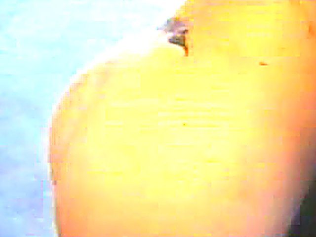 Hot and Horny sluts love fuck in public