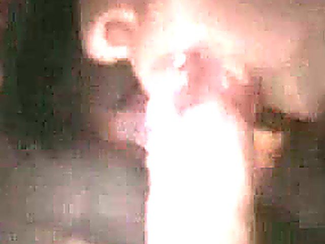 Pretty young babe gives a great blow job