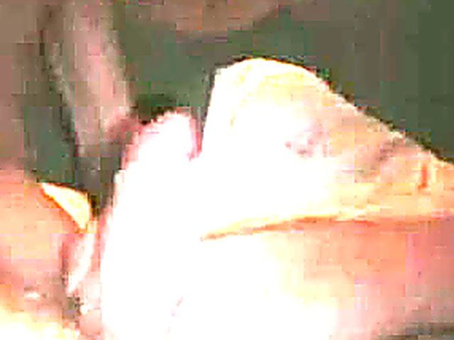 Pretty young babe gives a great blow job