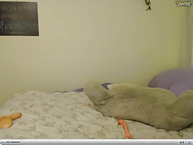 Blue hair camgirl with a nice big ass