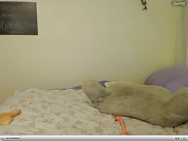 Blue hair camgirl with a nice big ass