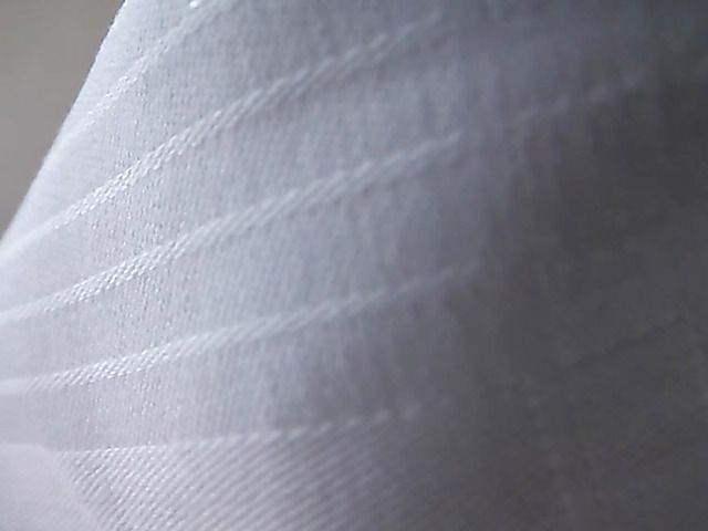 Lovely asian girlfriend gives a perfect blowjob