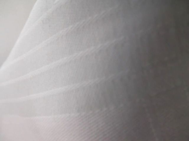 Lovely asian girlfriend gives a perfect blowjob