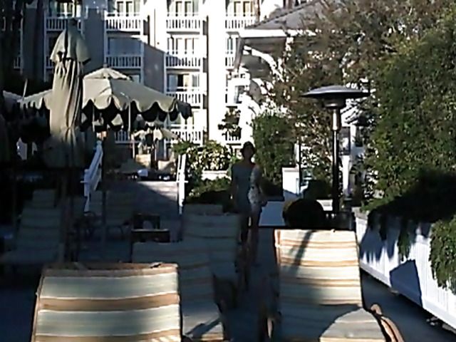 Lovely big tit brunette Jasmine Waltz in black bikini