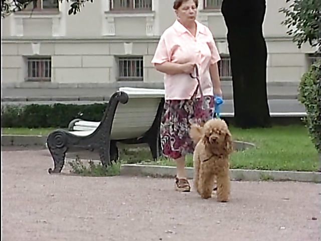 Russian couple have public sex in Saint Petersburg