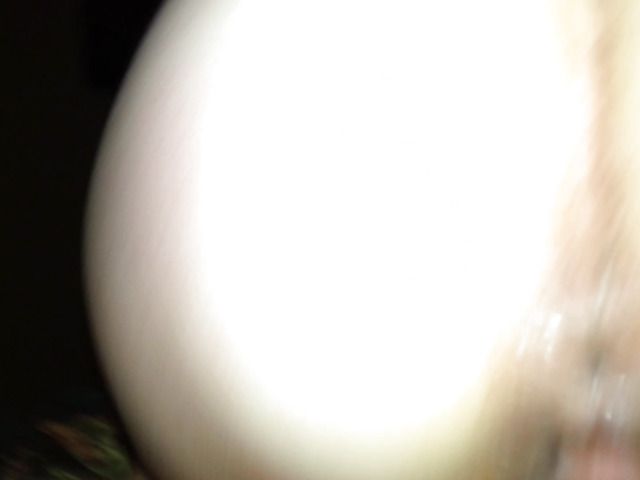 GF ass bounces like beyonce amazing pov anal and riding big dick