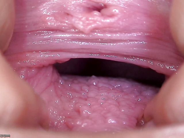 Blue Angel pulls her pink pussy inside out in close up