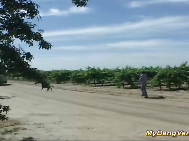 Bang Van orgy and plenty of cock riding