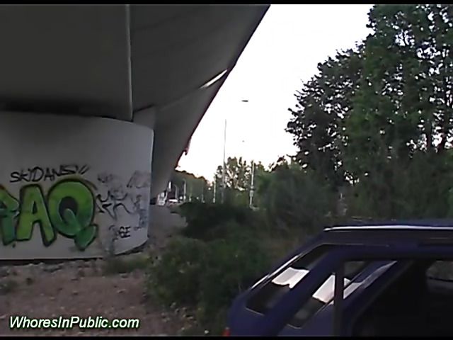 Real public sex with a horny brunette