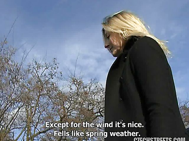 Lovely Czech MILF with hairy pussy picked up for a fuck