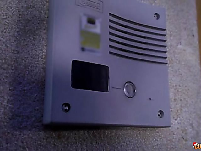 Ass fucking on Christmas with Gina Gerson and Amirah Adara