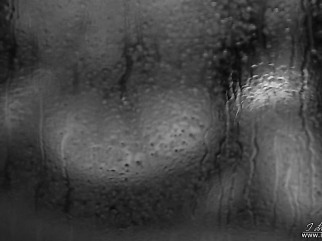 Erotic lesbian video in black and white