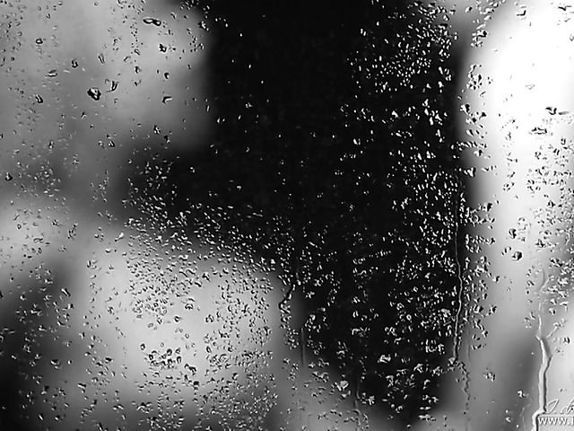 Erotic lesbian video in black and white