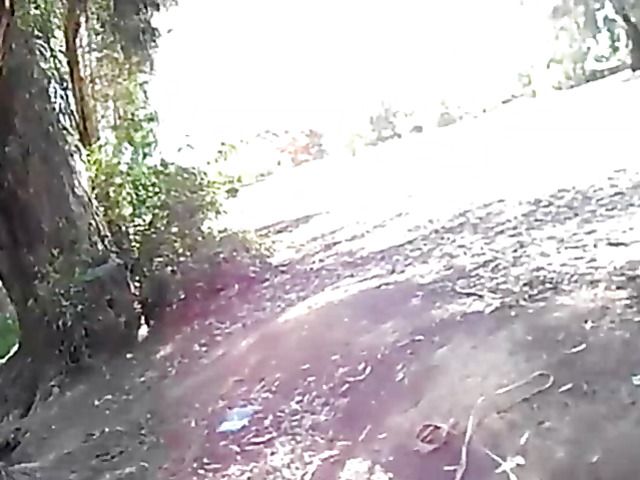 Asian beauty blowing fat dick outside