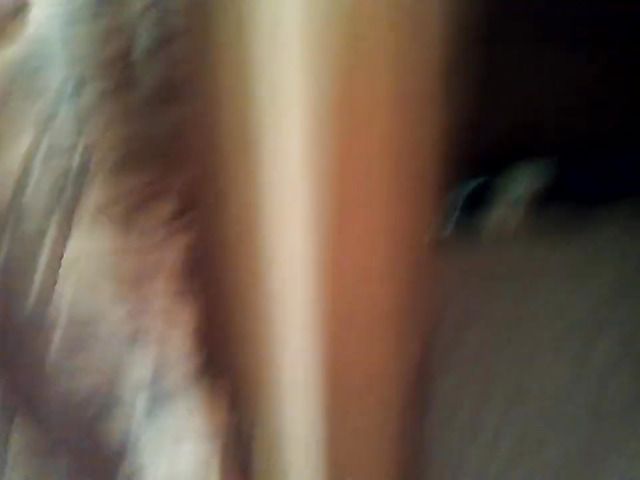 Solo babe riding a dildo