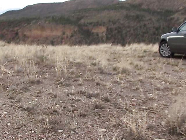 Brunette girl with shaved pussy peeing on the roadside